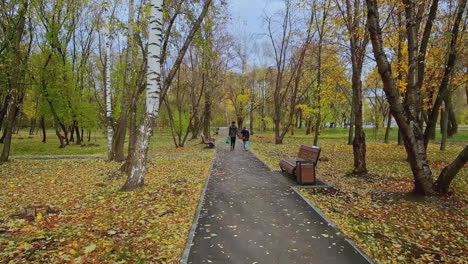 autumn park stroll