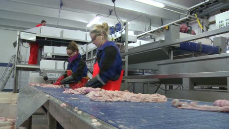 las mujeres trabajan en una cadena de montaje en una fábrica de procesamiento de pescado