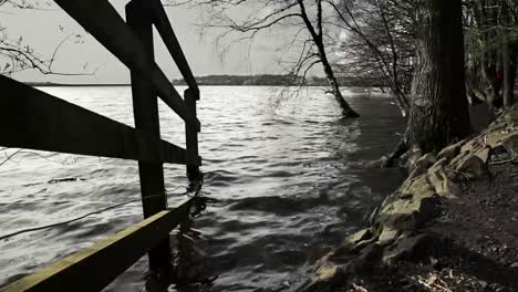 timelapse of lake on the edge of a forest-4