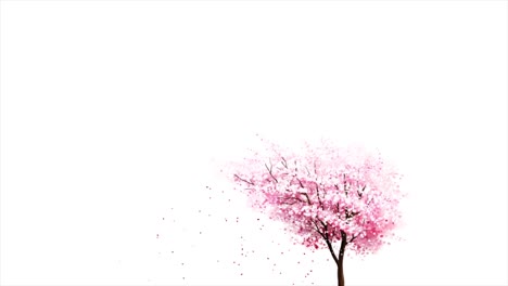 Pink Cherry Blossom Tree Illustration