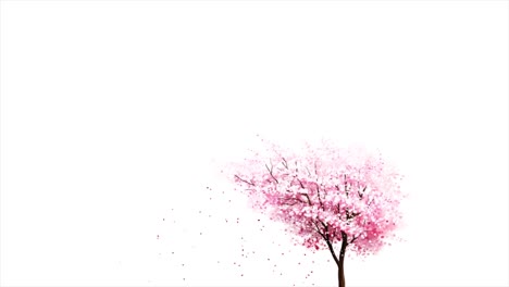 pink cherry blossom tree illustration