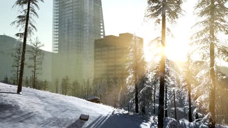 city and forest in snow