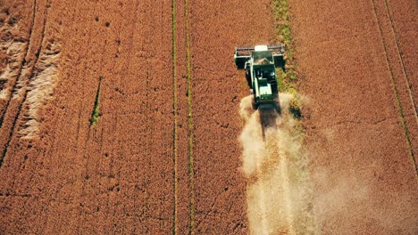 vista de arriba hacia abajo de las máquinas cosechadoras que trabajan en el campo de trigo
