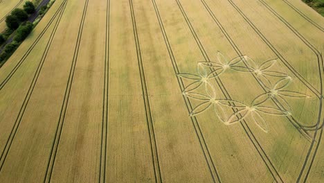 Crop-circle-flower-design-in-yellow-field,-orbiting-drone-view,-Warminster,-UK