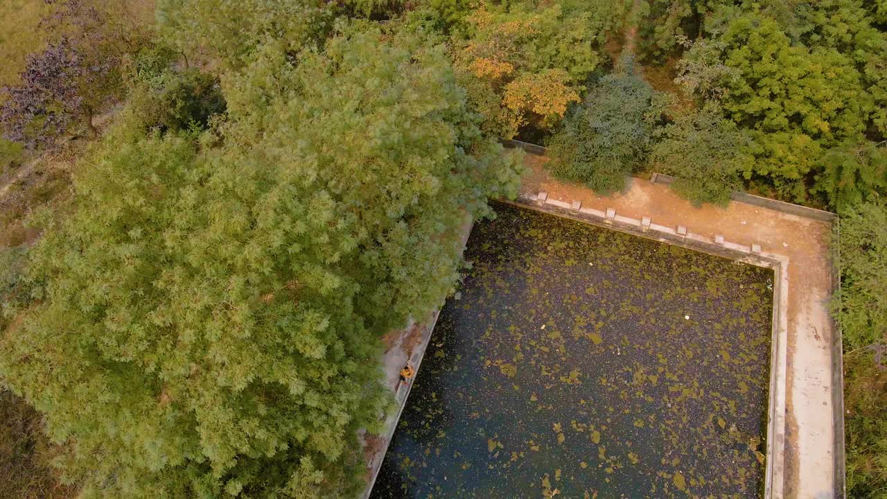antena: estanque en un campo de bangladesh tierras agrícolas de jahangirnagar