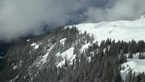 aerial drone shot over coniferous trees along mountain slope at engelberg brunni bahnen in the swiss alps in switzerland on a cold winter day