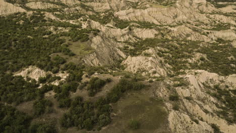 acantilados rocosos con arbustos sobre barrancos erosionados en vashlovani, georgia