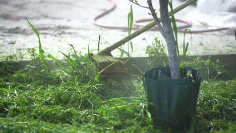 Granjero-Cortando-Hierba-Verde-Con-Una-Guadaña-En-El-Campo