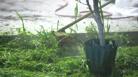 granjero cortando la hierba verde con una guadaña en el campo
