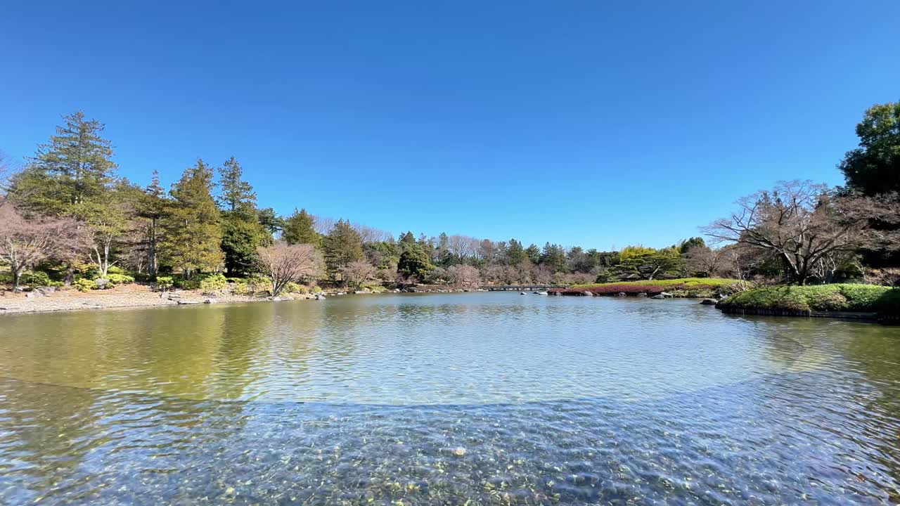 Fredelig japansk hagedam med trær og klar himmel på en solfylt dag