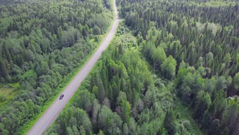 aerial view of a road through a lush green forest