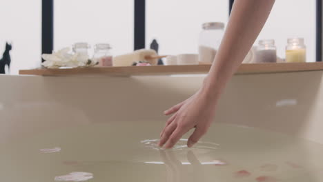 close up view of womanâ¬â¥s hands touching water of a bathtub with flowers