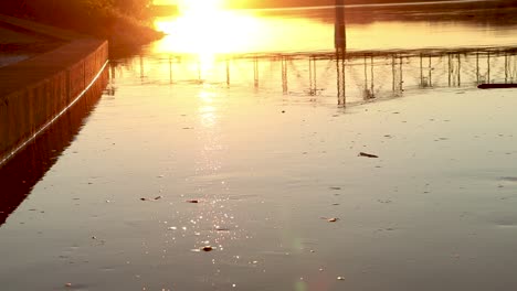garbage and debris float on the surface of a river. raise awareness to stop pollution