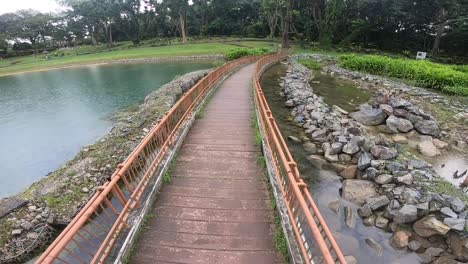 macritchie reservoir bridge