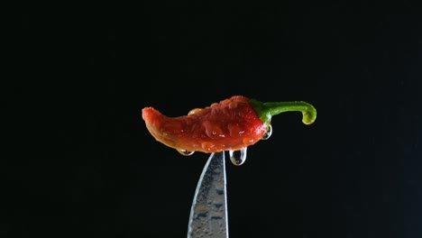 Wet-Red-Chili-Pepper-or-Maybe-Jalapeno-on-a-knife:-A-Spicy-Close-Up