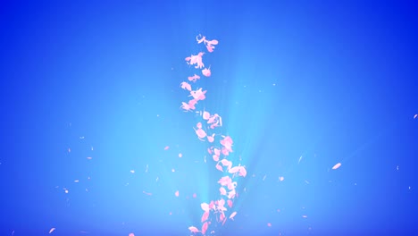 spiral shiny particle of cherry blossoms. sakura pattern. japanese cherry dancing. vortex from pink petals. abstract loop animation.