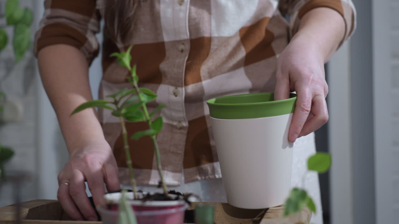 Tender gardener hands carefully scoop dark moist soil into white planter above wooden tray under soft indoor light showcasing focused planting ritual and nurturing detail for growth in cozy garden