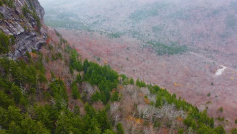 Revealing-aerial-shot-of-forest-and-mountain-Mount-Washington,-New-Hampshire,-USA