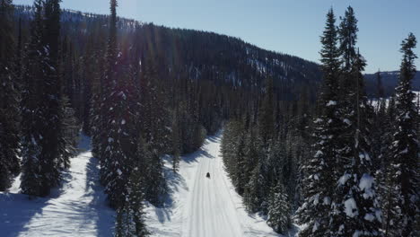 Aerial-following-snowmobile-through-alpine-winter-forest-landscape