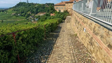 panoramic vineyard landscapes in cuneo, italy