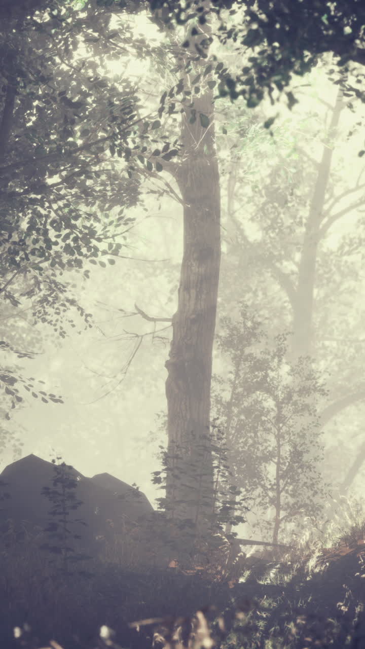 나무와 꽃이 꽃을 피우고