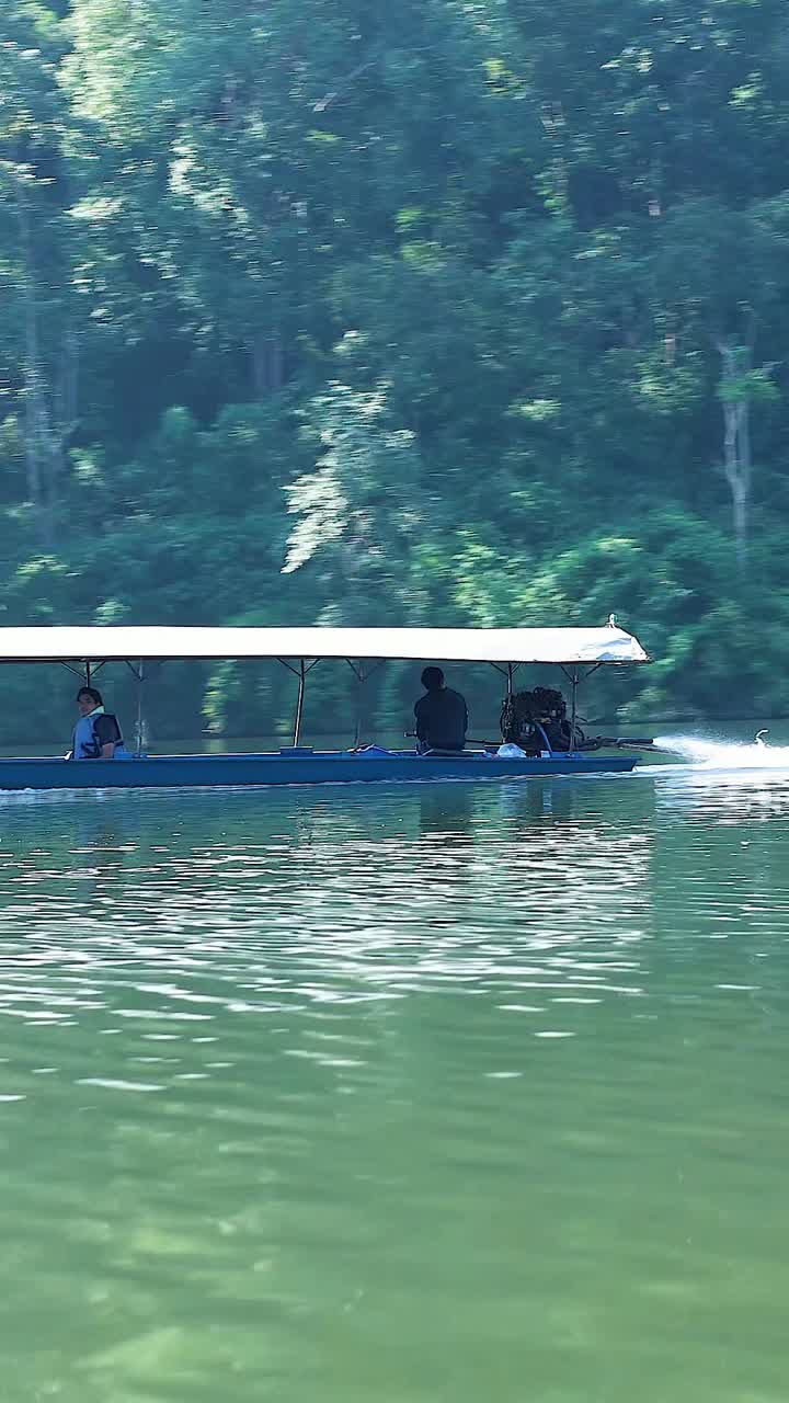 떠다니는 플랫폼이 숲으로 인 해안선에 더 가까워집니다.