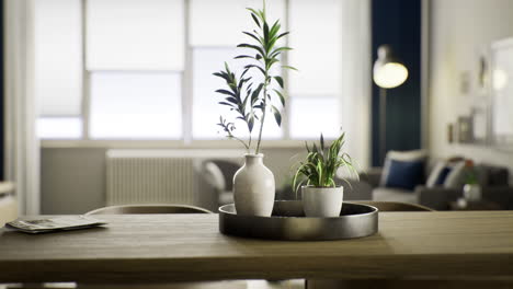 indoor plants on a wooden table in a bright modern living room setting