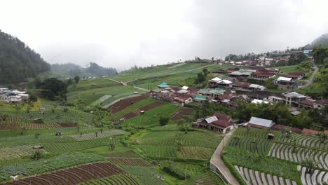 Vista-Aérea,-Paisajes-Rurales-En-Las-Laderas-Del-Monte-Lawu,-Vastos-Campos-Y-Hermosos-Paisajes-En-Tawangmangu,-Indonesia