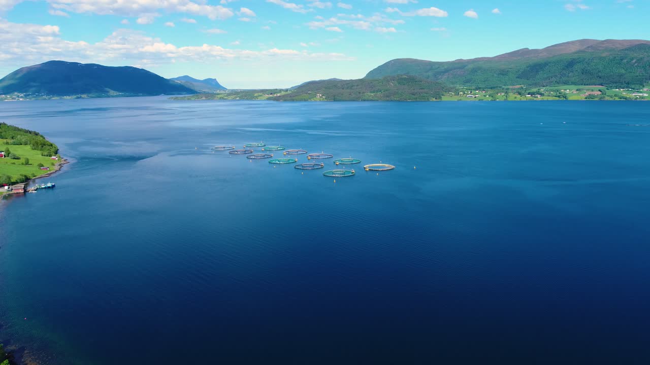 노르웨이에서 연어  ⁇ 시를 하는 공중 촬영