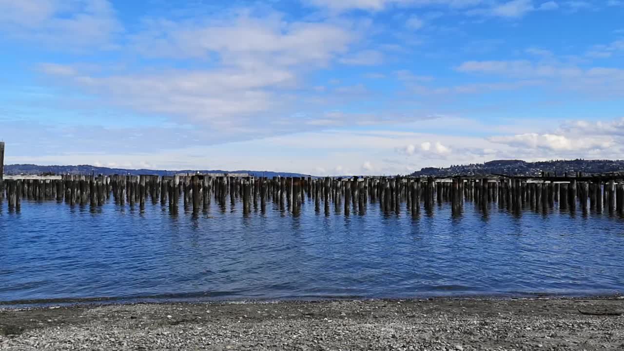 미국 태평양 북서부의 모래 앞 해변에 졸졸 흐르는 물과 함께 푸른 바다에 서 있는 오래된 나무 말뚝