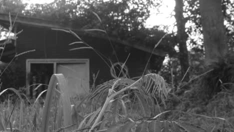 wooden walled building in an old house