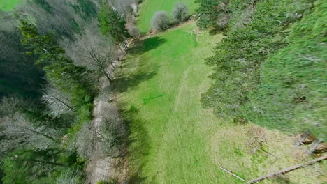 drone fpv fliying in the meadow near the green trees with the snowy mountains in the background