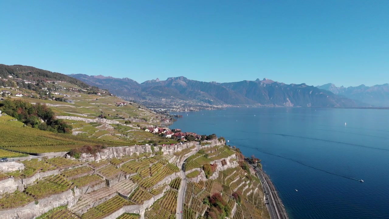 Sorvolo della regione vinicola sul Lago di Ginevra, chiamata Lavaux. Vigneti a terrazze su un bellissimo lago con cielo azzurro limpido in autunno.