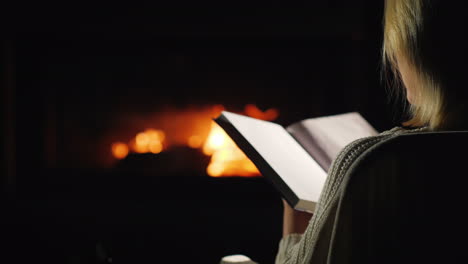 Ein-Abend-Mit-Einem-Buch-Am-Kamin-Rückansicht-Fireplace