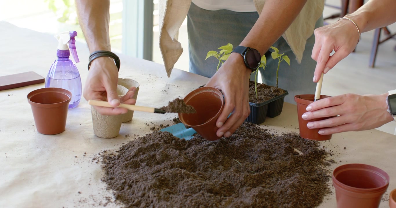 Coppia che nota il terriccio sul tavolo, che raccoglie il terriccio con una paletta in vasi di terracotta per le piantine