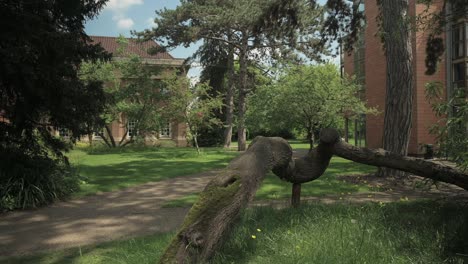 toma panorámica para revelar una rama de árbol caída