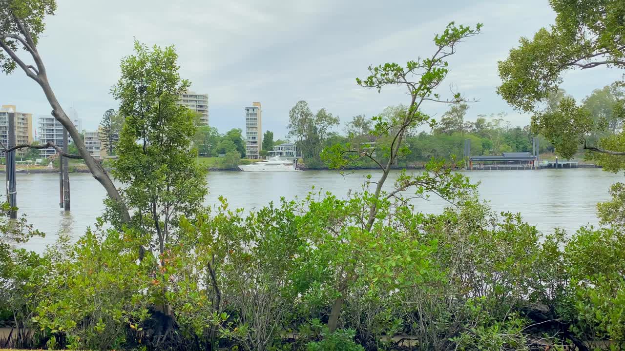 페리 터미널, 브리즈번 강, 퀸즐랜드 호주, 맹그로브, 강 선박 교통 근처에 정박한 고급 대형 보트의 4k uhd 보기