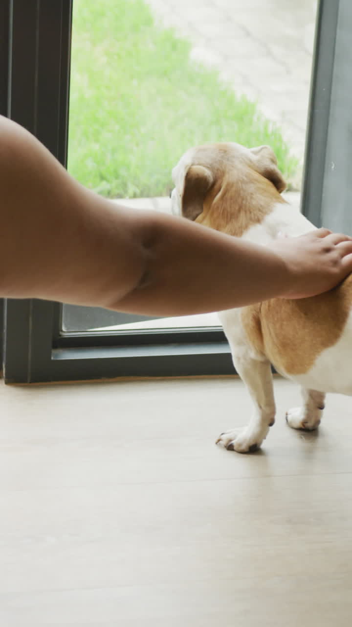 Video of back of plus size african american woman petting dog