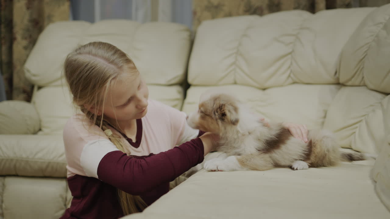 한 소녀가 귀여운 작은 강아지와 함께 놀고 있다. 소파  ⁇ 에 앉아 활발한 강아지를 애용한다.