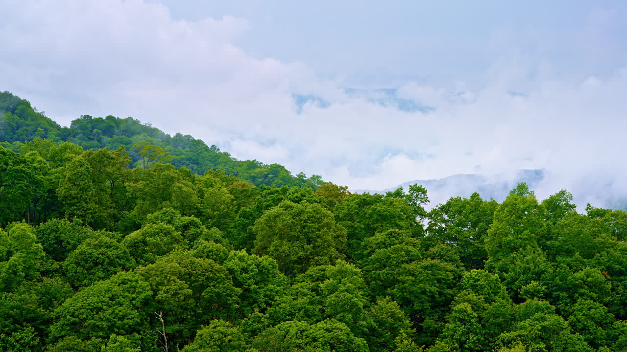 Thick haze and fog roll over the Smokies in this cinematic moment