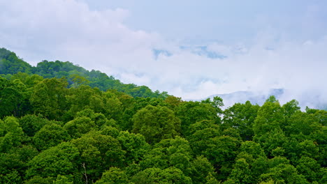 thick haze and fog roll over the smokies in this cinematic moment