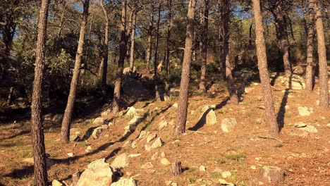 Aventurándose-A-Través-De-Exuberantes-Paisajes-Costeros-Mediterráneos-En-España,-Absorbiendo-La-Luz-Del-Sol,-Personificando-El-Espíritu-De-Explorar-La-Naturaleza-Y-Viajar.