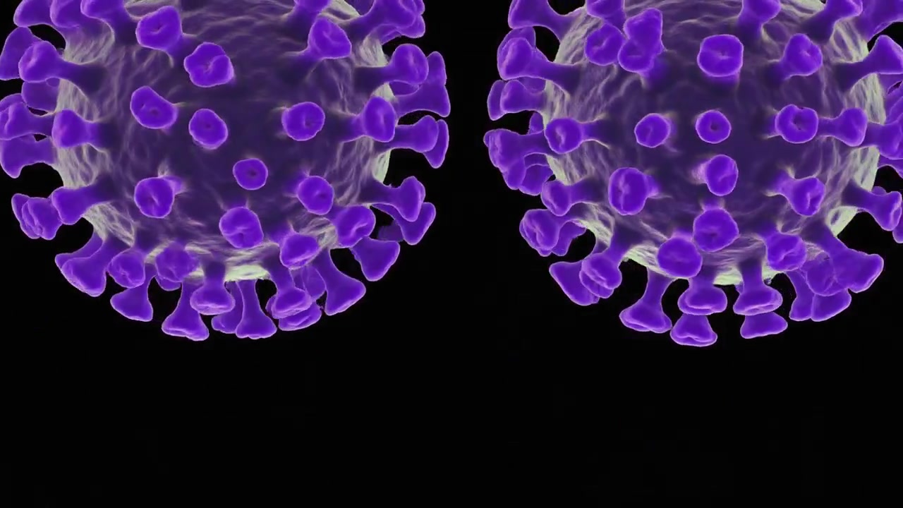Animazione 3D di cellule di coronavirus viola che si replicano