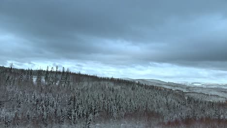 Aerial-view-over-a-man-standing-on-a-hill,-looking-on-mountains-and-snowy,-polar-forest,-on-a-dark,-cloudy,-winter-day---rising,-drone-shot