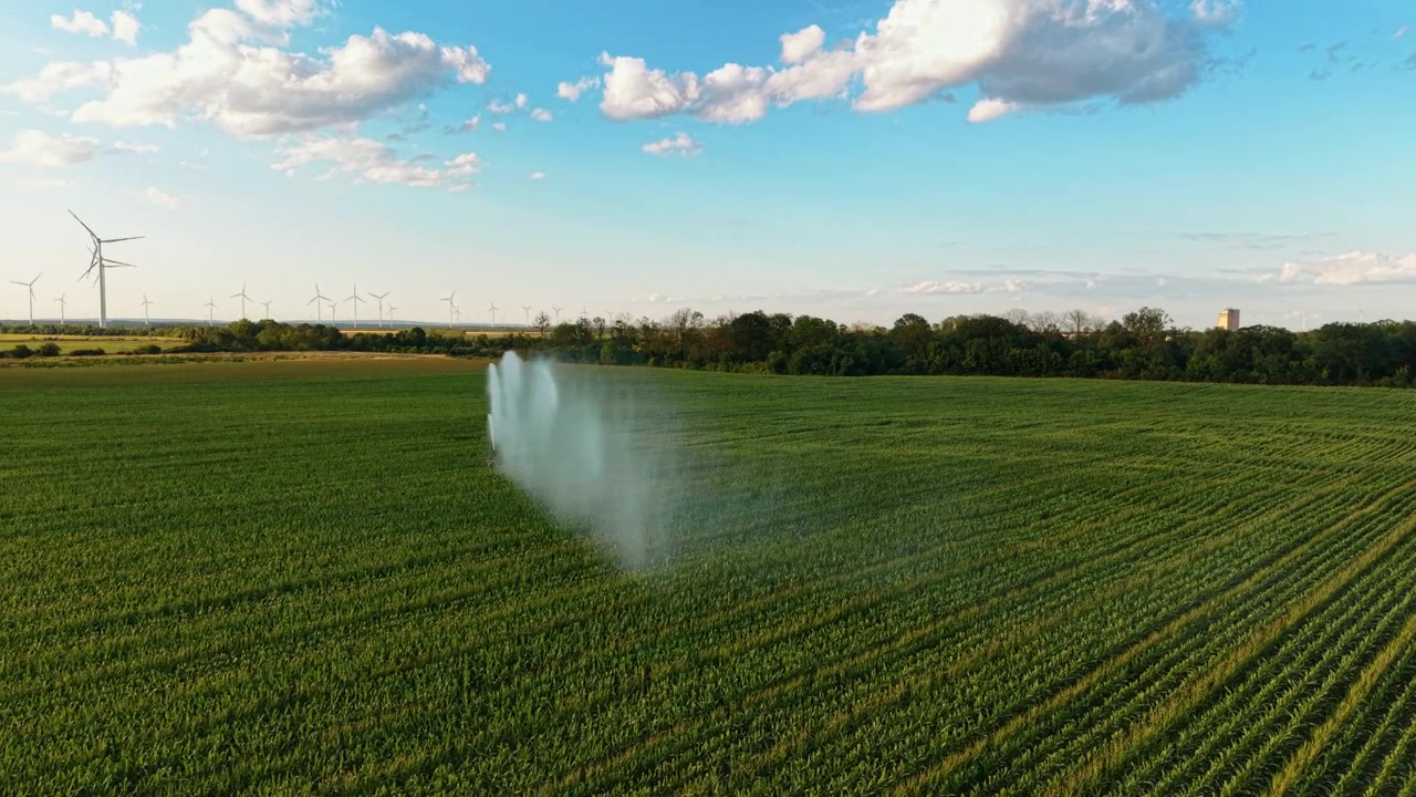 Vista aerea di un sistema di irrigazione di un campo agricolo. Un grande irrigatore spruzza acqua su file parallele di colture verdi sotto un cielo blu con nuvole sparse