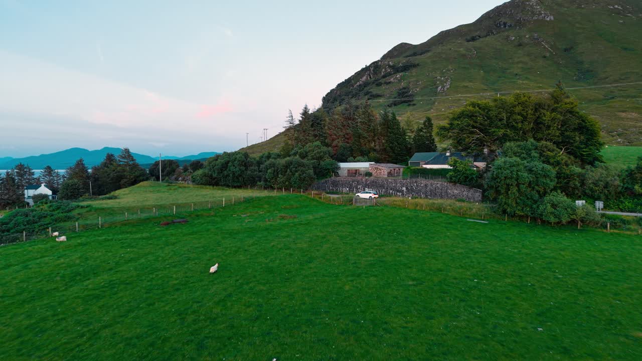 Scenic Landscape with Sheep Grazing in a Green Field