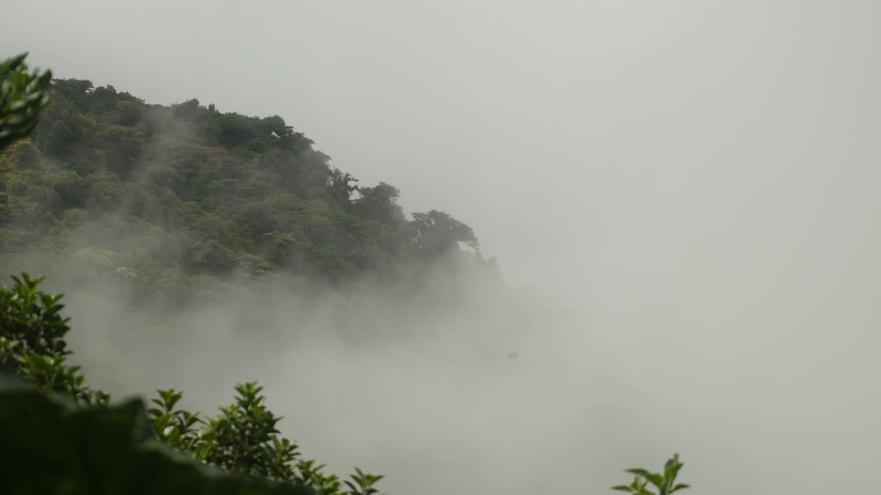 정글 언덕을 이동하는 구름