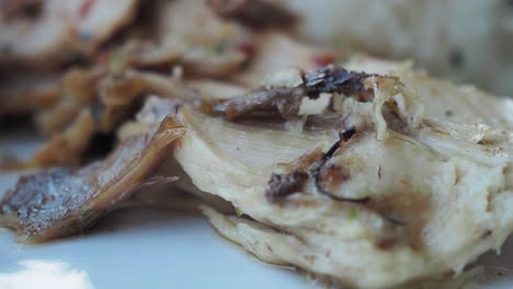 close-up of grilled fish