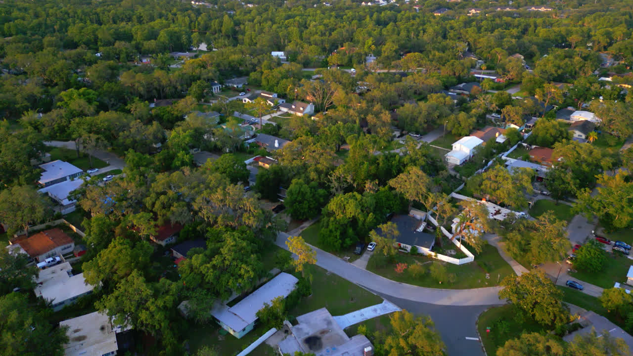 Dense Trees And Streets Through A Residential Suburban Neighborhood In Tampa, Florida. Aerial Drone Shot