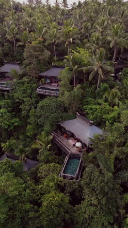 a luxurious tented retreat in bali nestled in a lush valley surrounded by tropical rainforest with private pools exquisite dining and serene natural beauty for a peaceful getaway